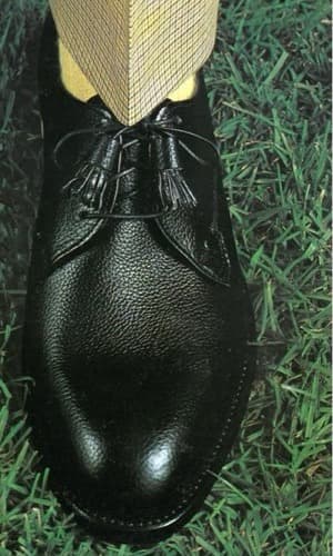 Close-up of a black boarded calf plain-toe blucher from the 1970 catalogue, standing on grass
